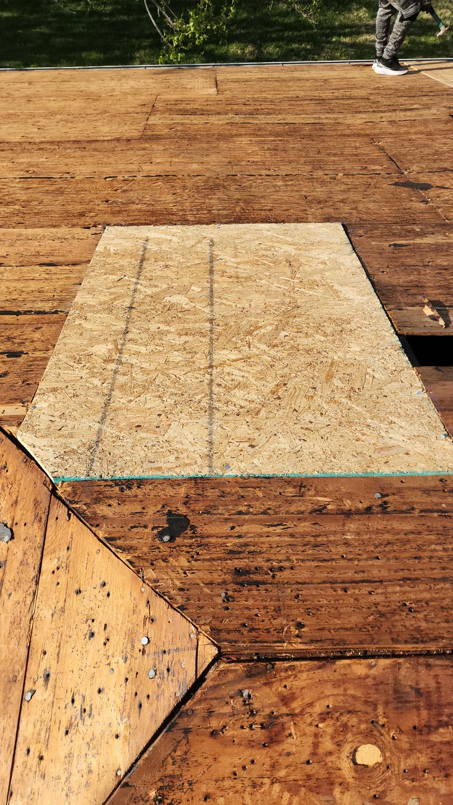 Roof decking OSB patch repair before shingle install